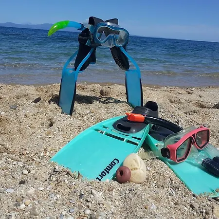 Kiwi Kastle Aparthotel *