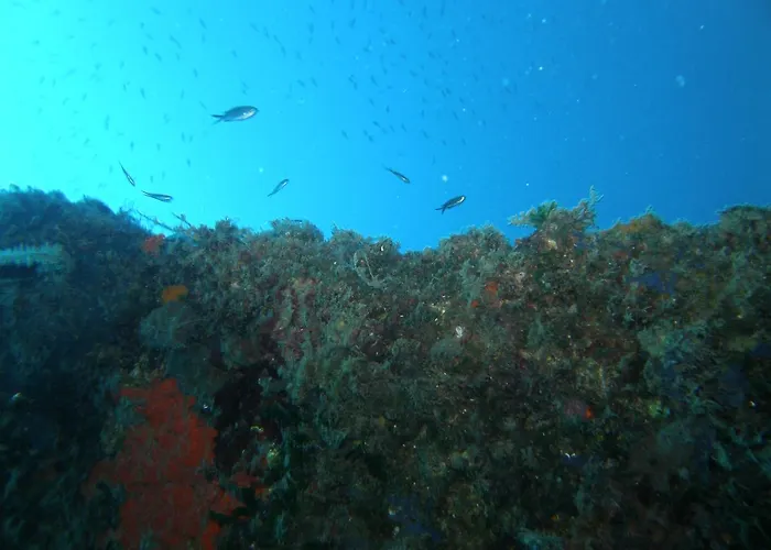 Aparthotel Kiwi Kastle *