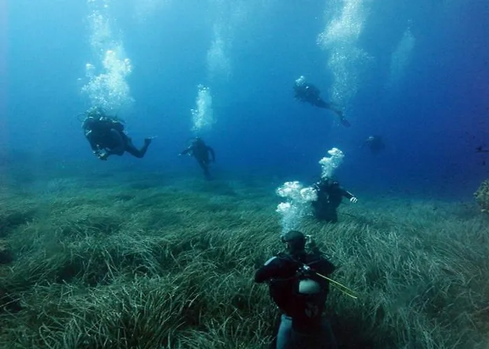 Kiwi Kastle Néa Fókaia