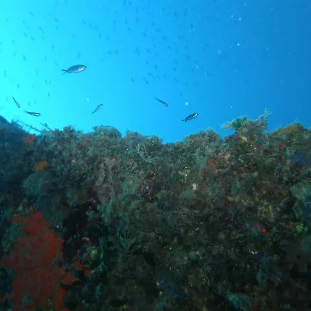 Appart hôtel Kiwi Kastle *