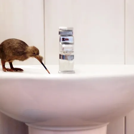 アパートホテル Kiwi Kastle Néa Fókaia