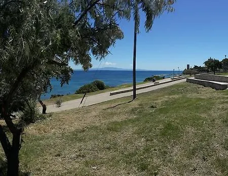 Kiwi Kastle