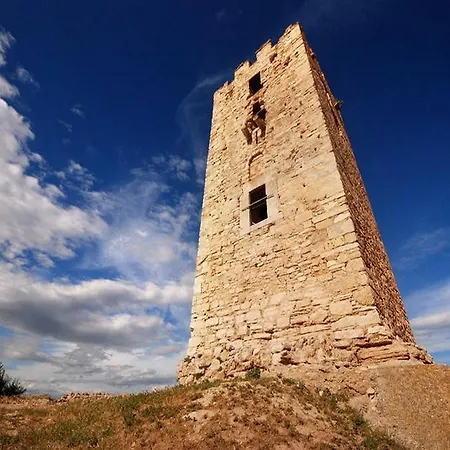 Kiwi Kastle アパートホテル *