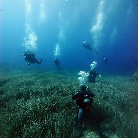 Kiwi Kastle Néa Fókaia